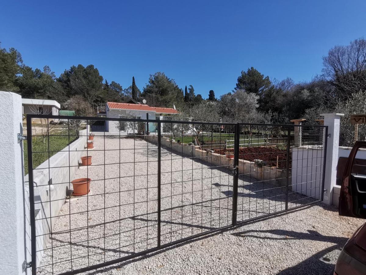 Villa Molo Novigrad  Bagian luar foto