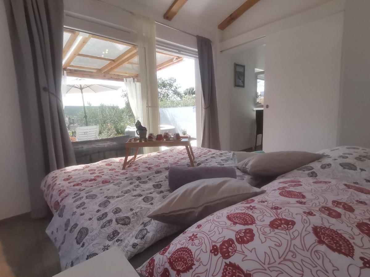 Villa Molo Novigrad  Bagian luar foto