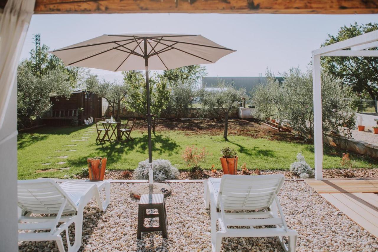 Villa Molo Novigrad  Bagian luar foto